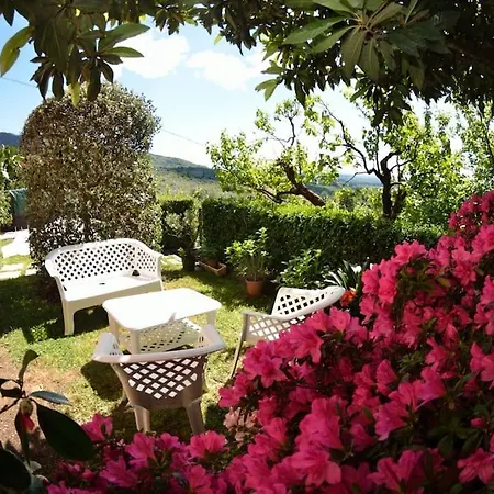 Collina Del Sole *